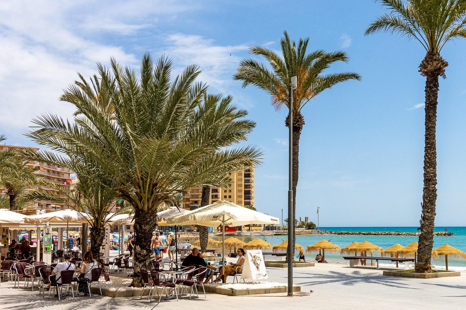 Torrevieja seaside promenade and palm trees