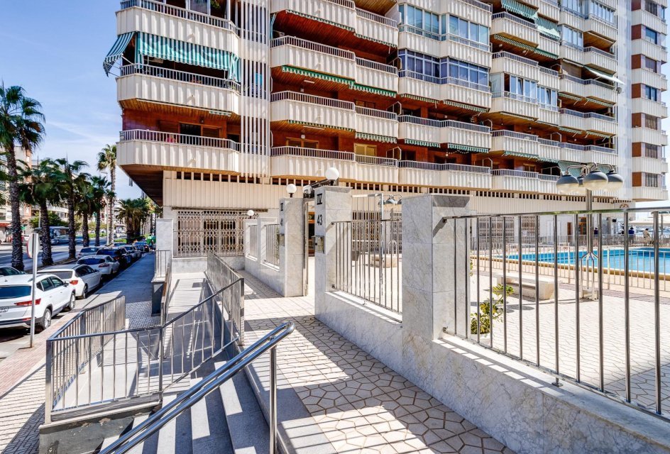 Lägenhet - Torrevieja - 239900 EUR