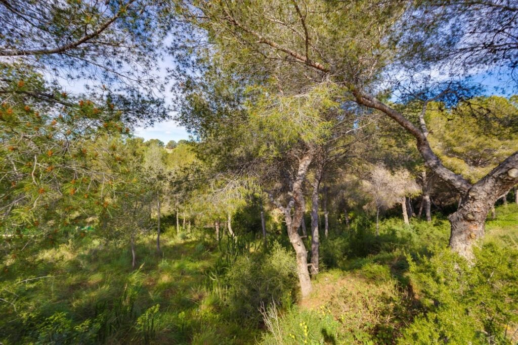 Villa - Pilar De La Horadada - 399000 EUR