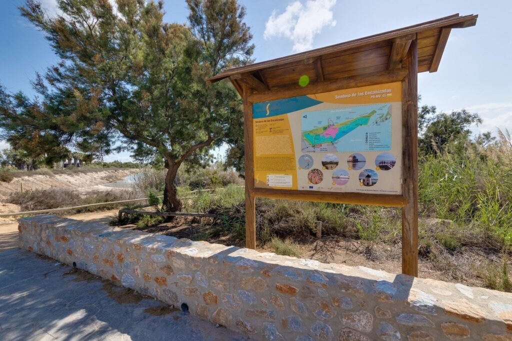 Villa - Pilar De La Horadada - 399000 EUR