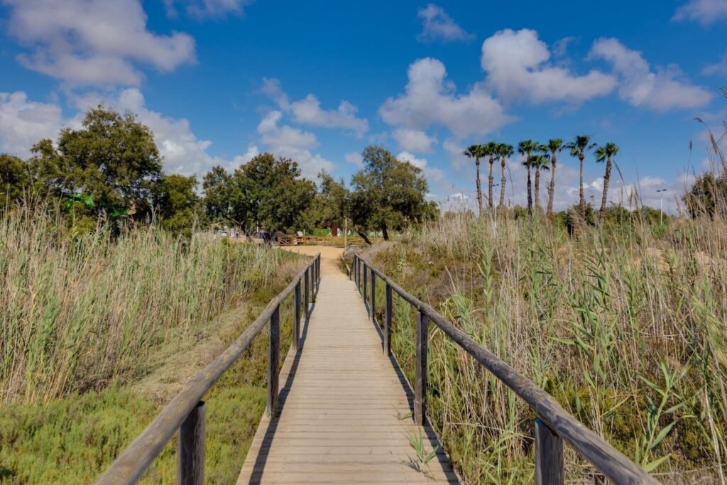 Villa - Pilar De La Horadada - 399000 EUR