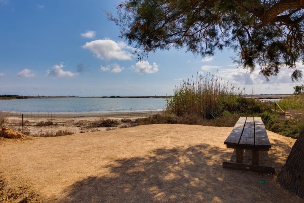 Villa - Pilar De La Horadada - 399000 EUR