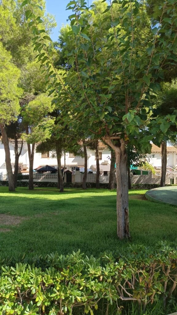 Propiedad en Los balcones, Torrevieja