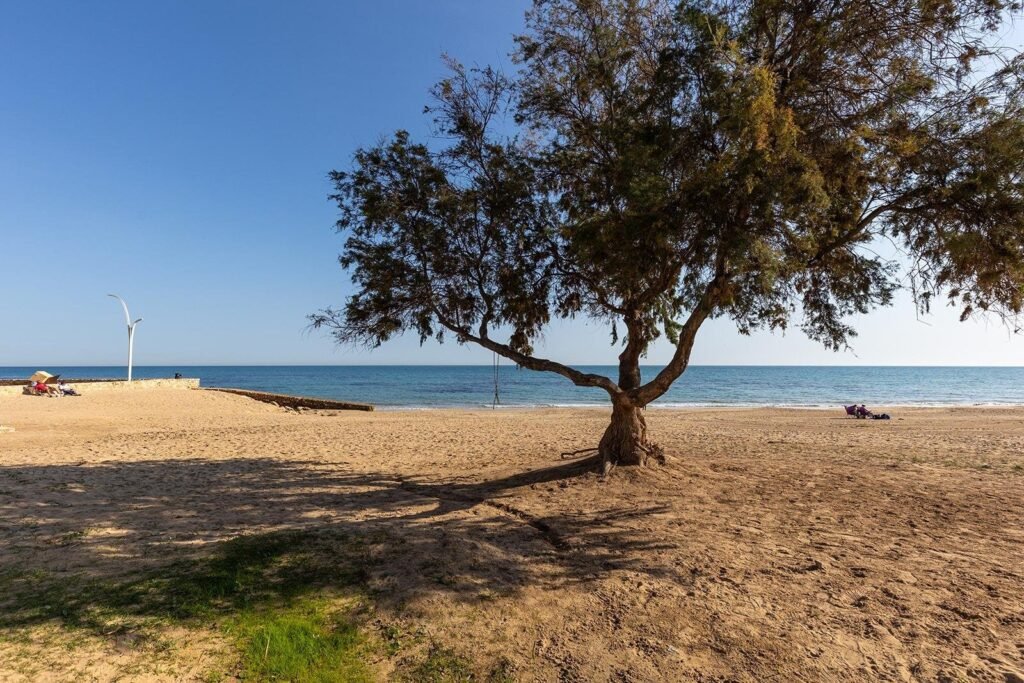 Propiedad en La Mata, Torrevieja