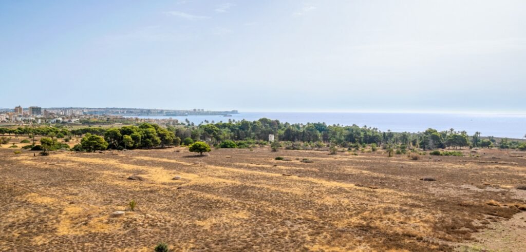 Remontoitu kattohuoneisto Punta Primassa