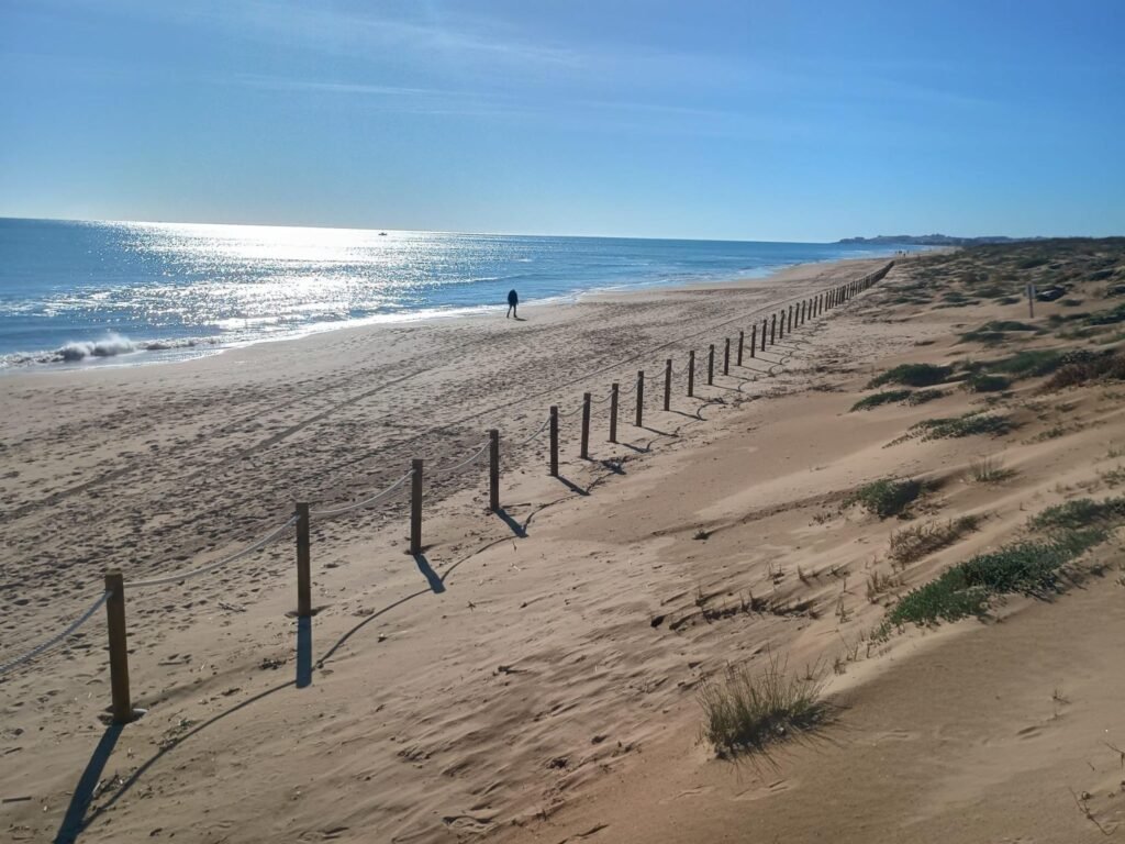 Asunto spanjasta, Guardamar del Segura