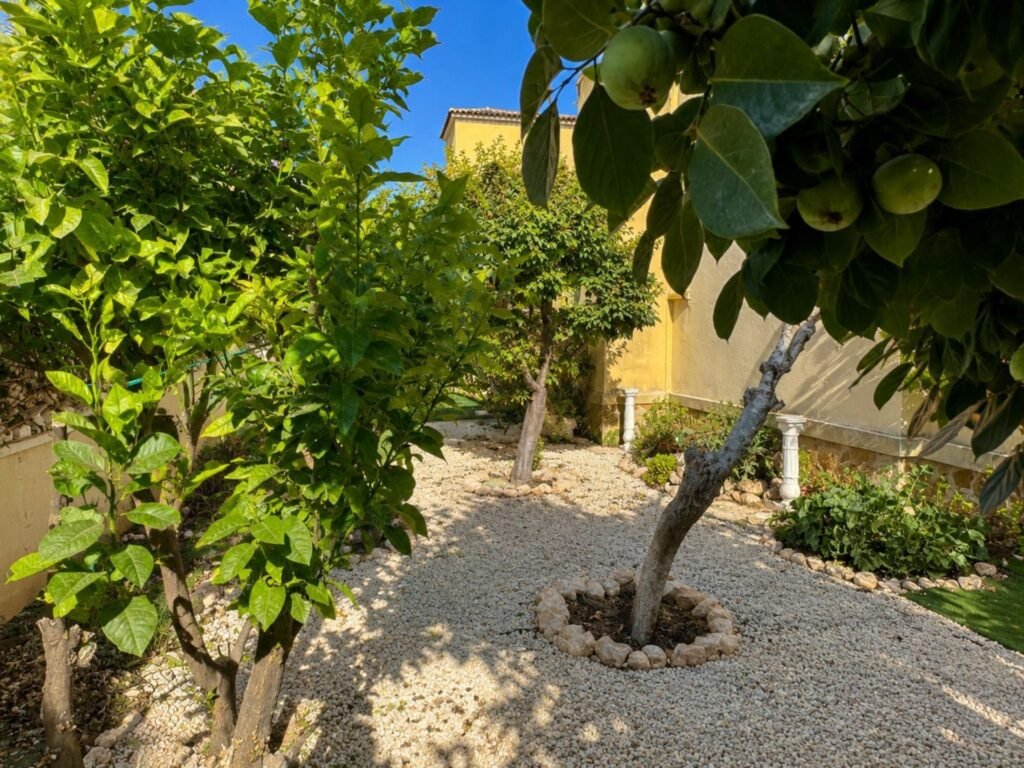 Koti ja yhteinen uima-allas – Lomas de Cabo Roig