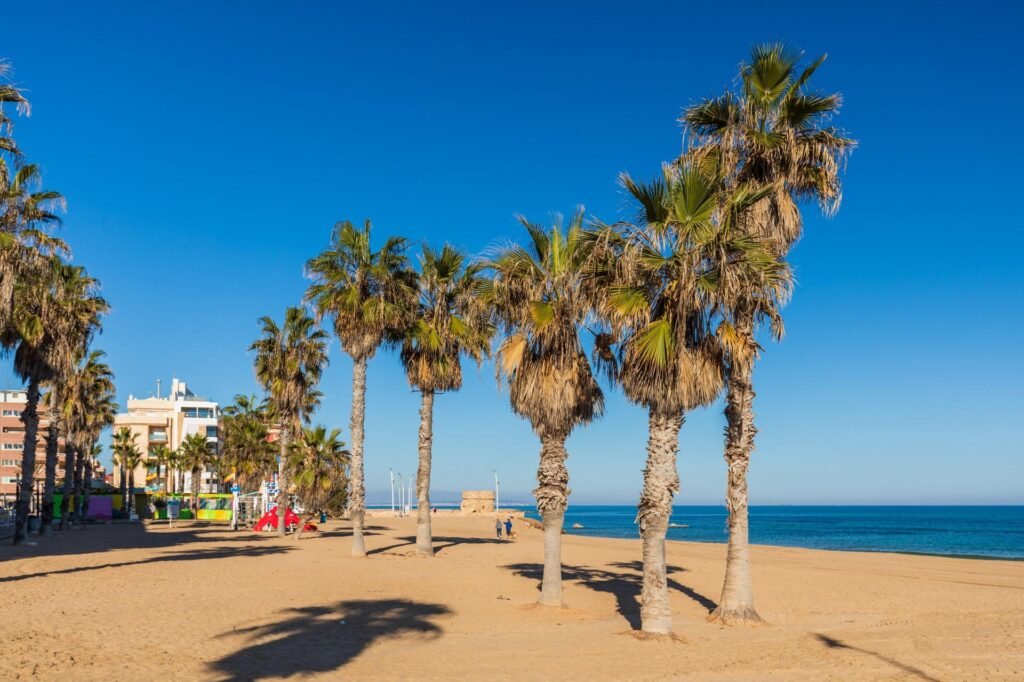 Penthouse - Torrevieja - 95900 EUR