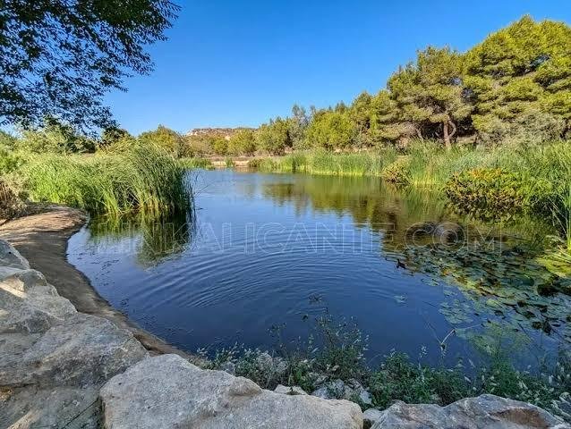 2 kambarių kotedžas La Finca Golf, Algorfa