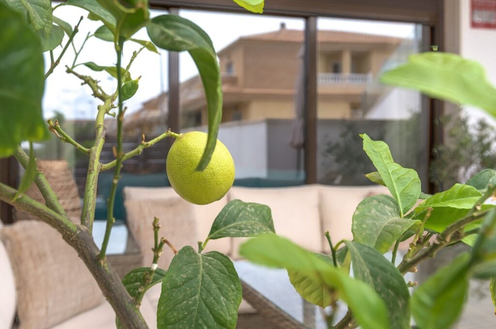 Kahden terassin koti San Pedro del Pinatarissa