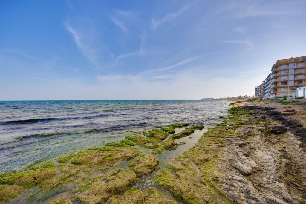 Kattohuoneisto ja tilava terassi Torreviejassa